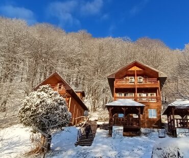 Дом на горе — весь дом (4 комнаты)